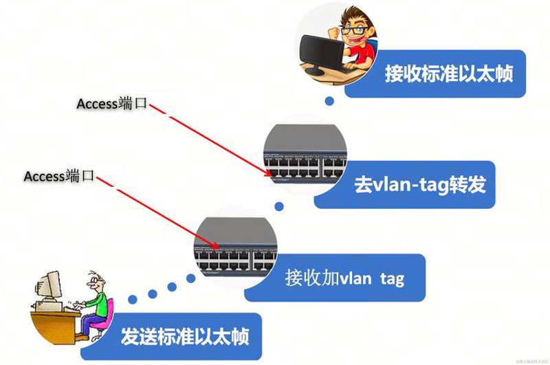 企业网站维护：构建品牌桥梁的幕后英雄